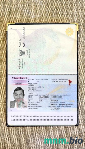 Tajlandia zdjęcie do paszportu pliki PSD, skan i fotografowany obraz